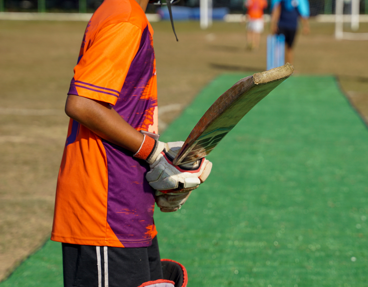 Cricket Collection